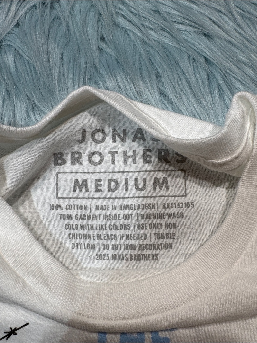 Jonas Brother Greeting from Your Hometown Tour 2025 Merch Tee - Picture 2 of 6